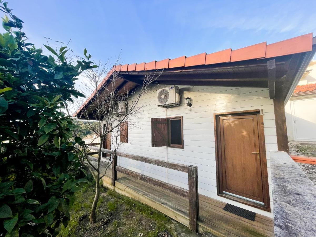 Jantesta Guest House Коимбра Екстериор снимка
