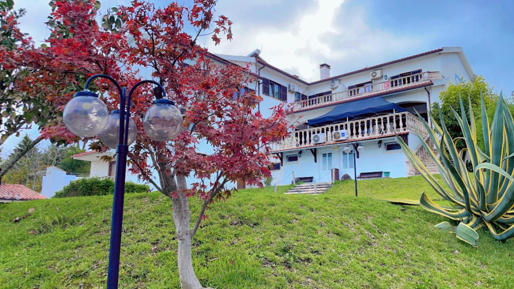 Jantesta Guest House Коимбра Екстериор снимка